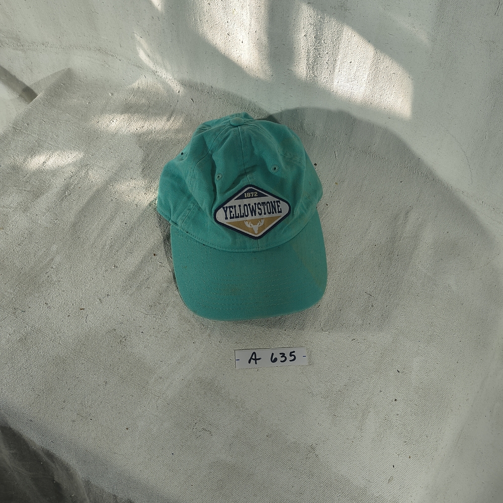 Men's Adjustable Teal Colored Cap Yellowstone Patch by The Game
